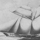 Wikimedia Commons
